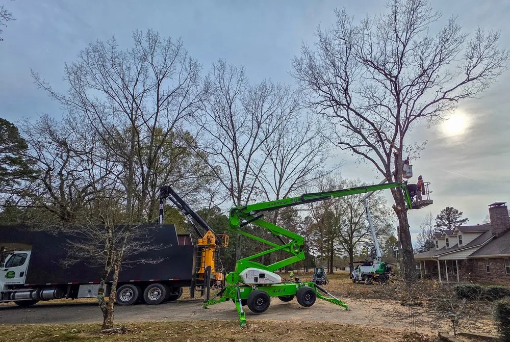 Professional landscape design experts serving North Little Rock, AR - James Tree Service