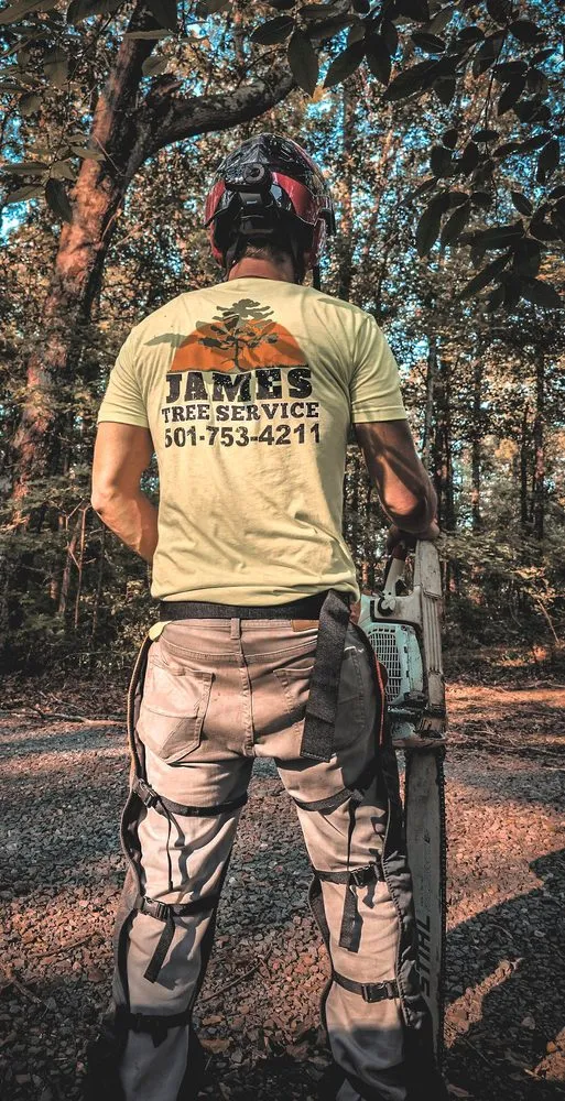 Trusted lawn care service for year-round maintenance across North Little Rock, AR - James Tree Service