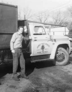 Expert yard cleanup service in North Little Rock, AR - James Tree Service