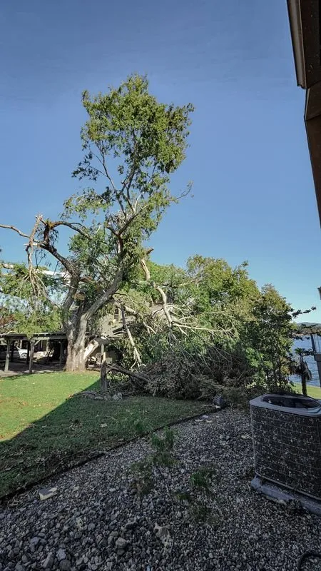 Local yard maintenance for outdoor upgrades across North Little Rock, AR - James Tree Service