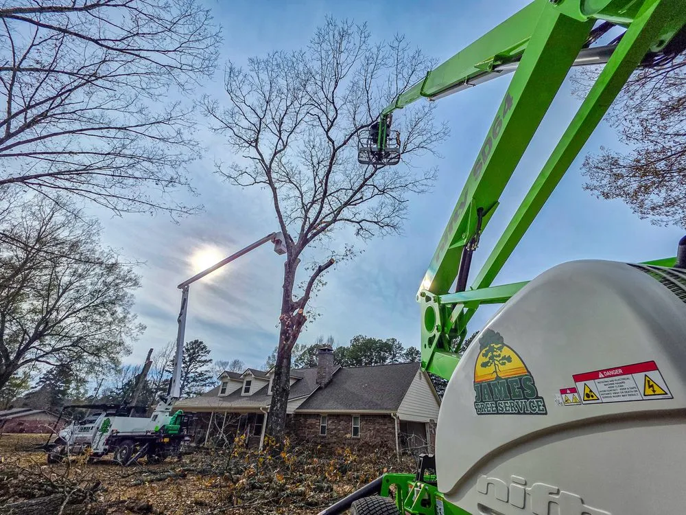 Trusted yard cleanup service in North Little Rock, AR by James Tree Service