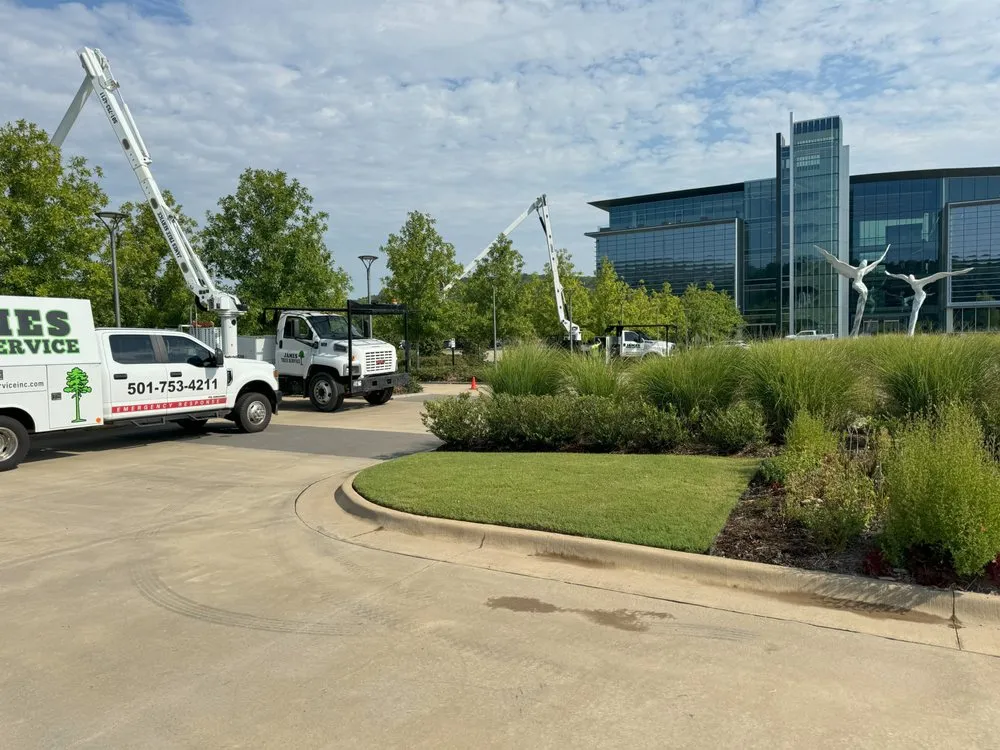 Affordable garden landscaping experts serving North Little Rock, AR - James Tree Service