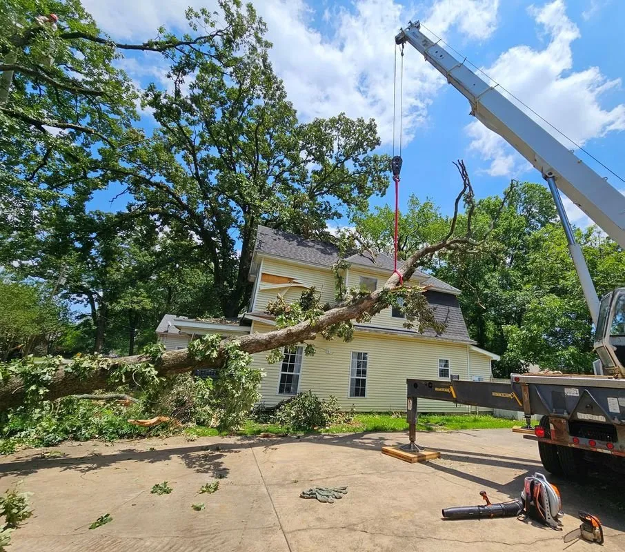 Professional lawn care service experts serving North Little Rock, AR - James Tree Service