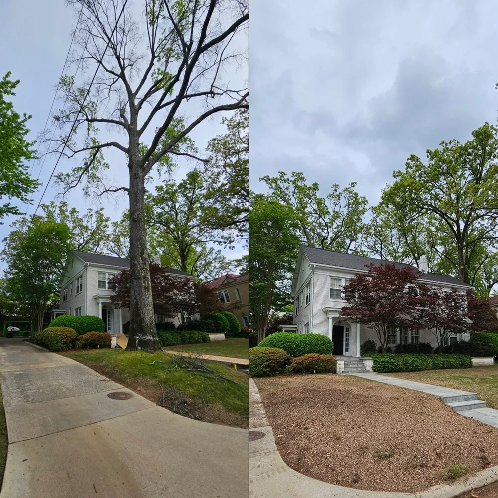 Professional lawn care service in North Little Rock, AR - James Tree Service