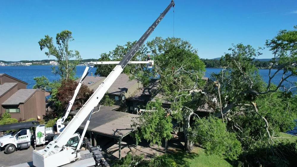 Local residential landscaping in North Little Rock, AR by James Tree Service