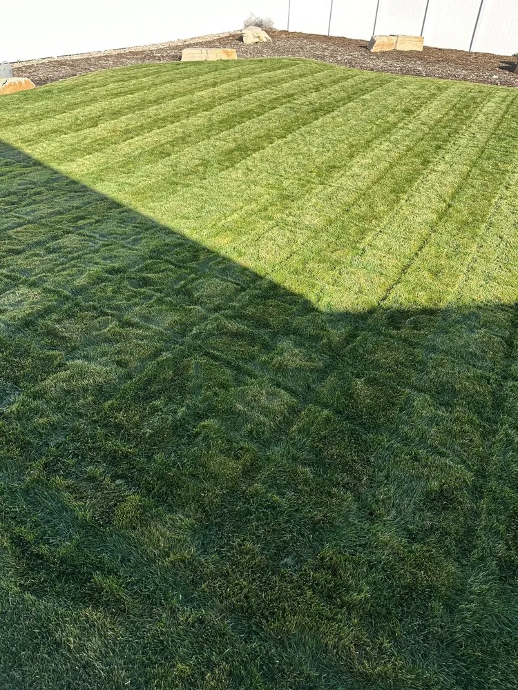 Custom lawn care service experts serving Greeley, CO - Jameservices