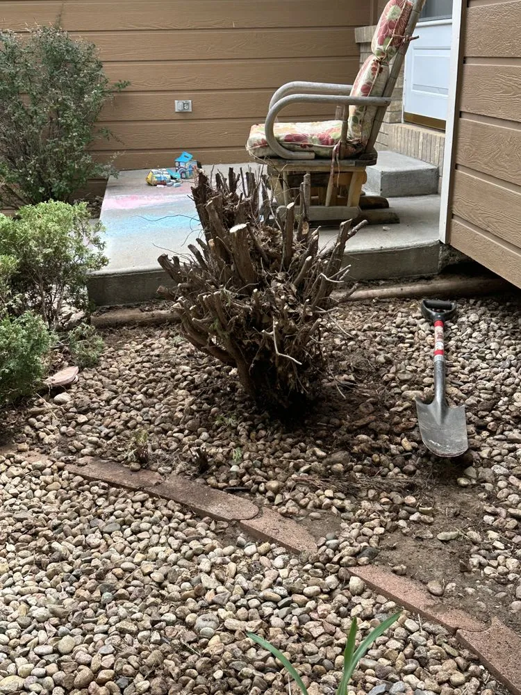 Top-rated outdoor landscaping for outdoor upgrades across Greeley, CO - Jameservices