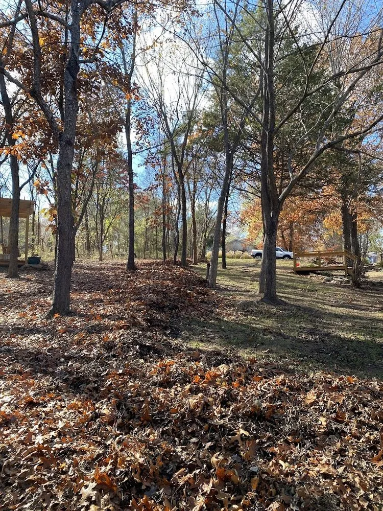 Affordable landscaping services for year-round maintenance in Bella Vista, AR by Jameson Lawn Maintenance