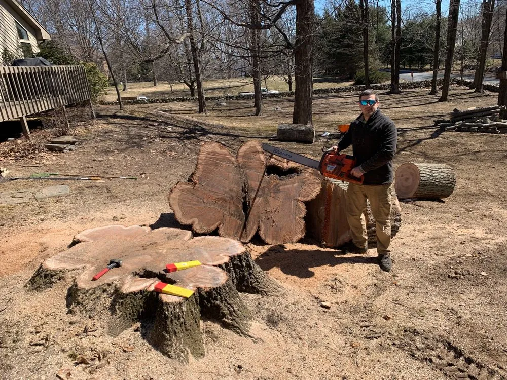 Affordable lawn care service in Torrington, CT by Jameson's Tree & Landscape Company
