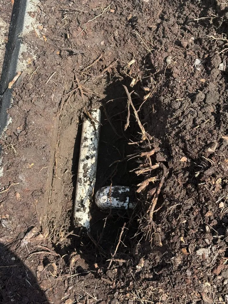 Professional landscape design experts serving Paisley, FL - James’s Lawn Care and Irrigation