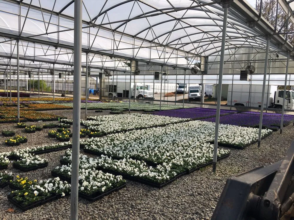 Affordable landscaping services for beautiful yards across Buford, GA - James's Lawn Service