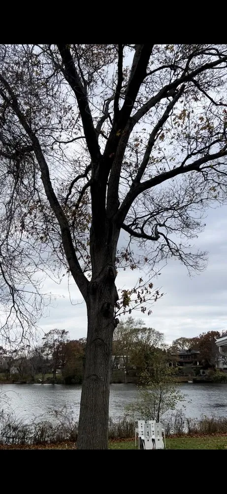 Trusted residential landscaping for homes across Medford, NY - Jamg