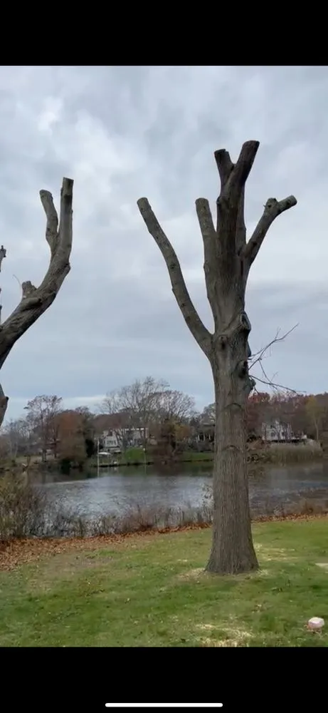 Expert garden landscaping in Medford, NY by Jamg