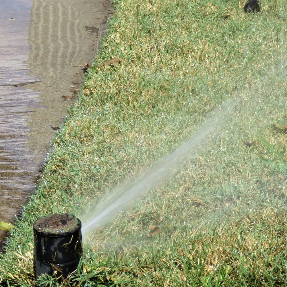 Local landscape installation with custom design in Medford, NY by Jamg