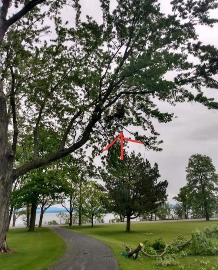 Custom lawn care service experts serving Plattsburgh, NY - Jamie VanEtten