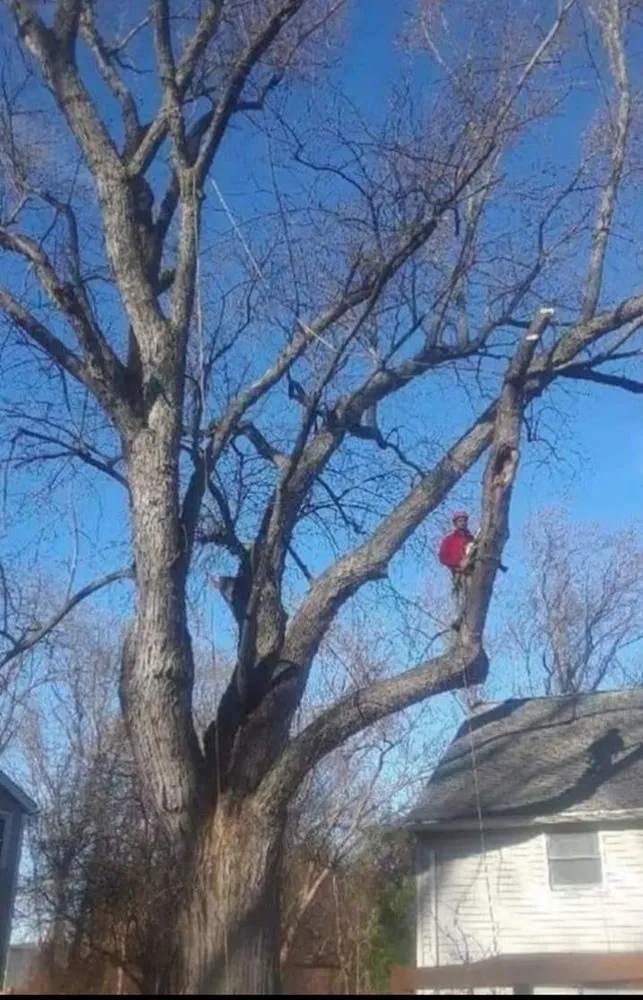 Expert residential landscaping near you in Plattsburgh, NY by Jamie VanEtten