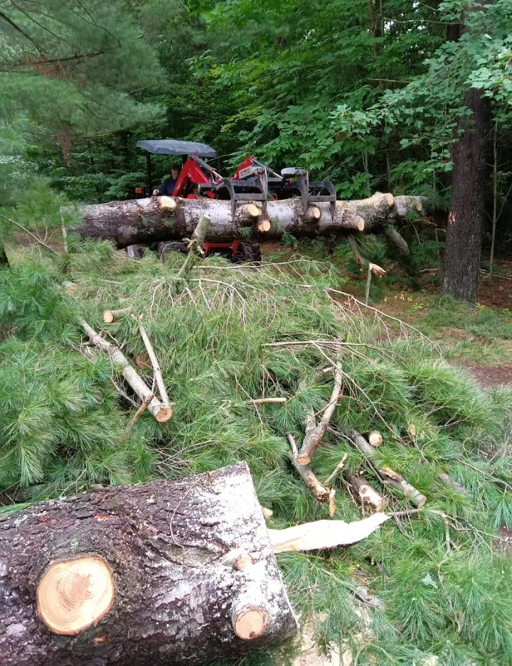 Local lawn care service in Plattsburgh, NY - Jamie VanEtten