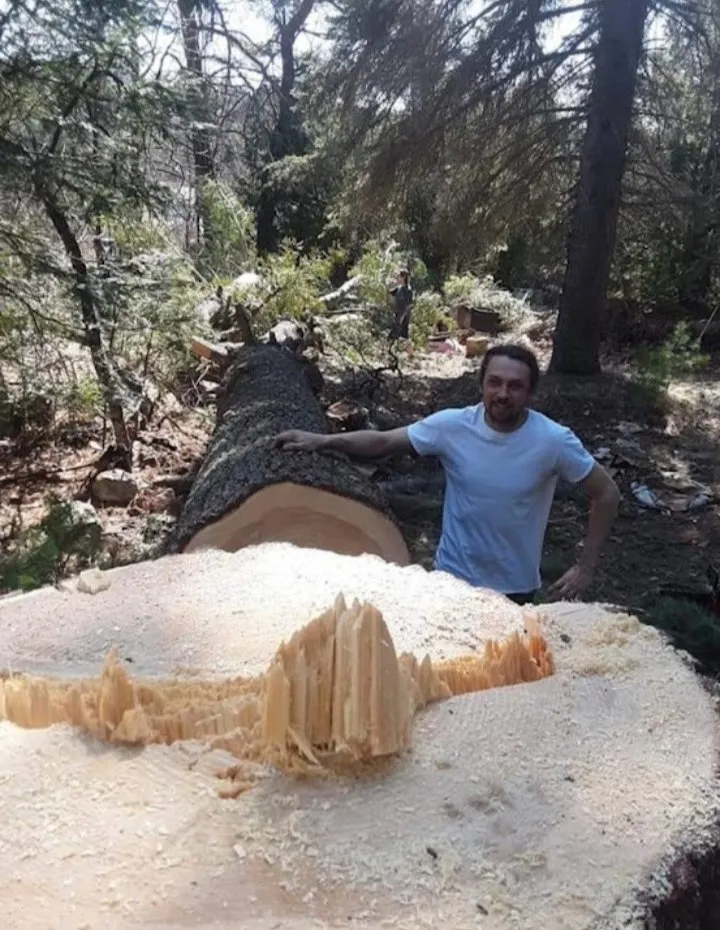 Top-rated landscape design for beautiful yards in Plattsburgh, NY by Jamie VanEtten