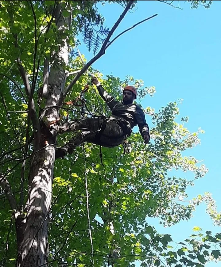 Affordable lawn mowing service for homes in Plattsburgh, NY by Jamie VanEtten