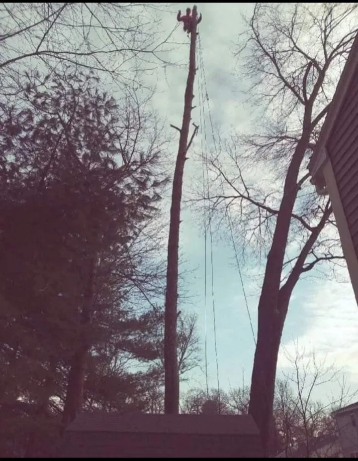 Affordable residential landscaping with custom design across Plattsburgh, NY - Jamie VanEtten