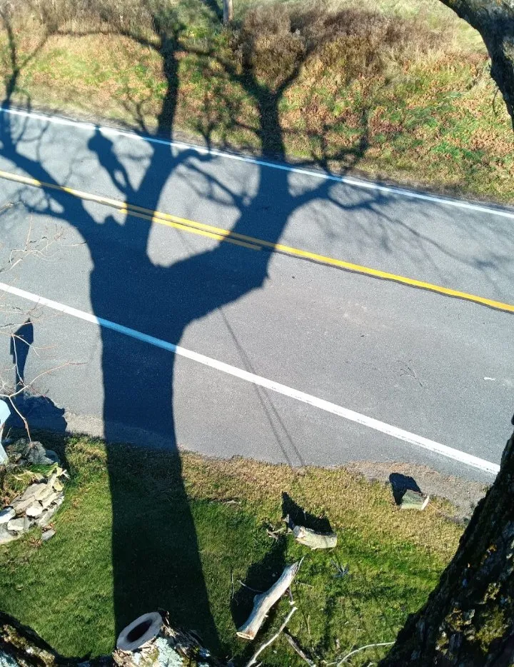 Reliable lawn mowing service in Plattsburgh, NY by Jamie VanEtten