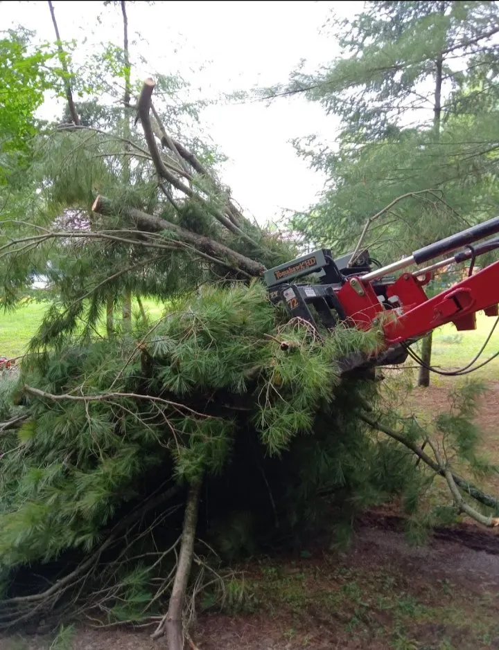 Custom landscaping services for beautiful yards across Plattsburgh, NY - Jamie VanEtten