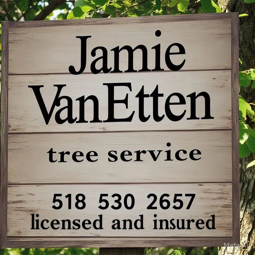 Trusted yard cleanup service for residential properties in Plattsburgh, NY by Jamie VanEtten
