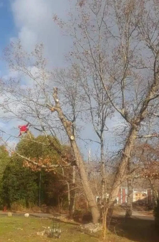 Reliable landscape installation in Plattsburgh, NY by Jamie VanEtten