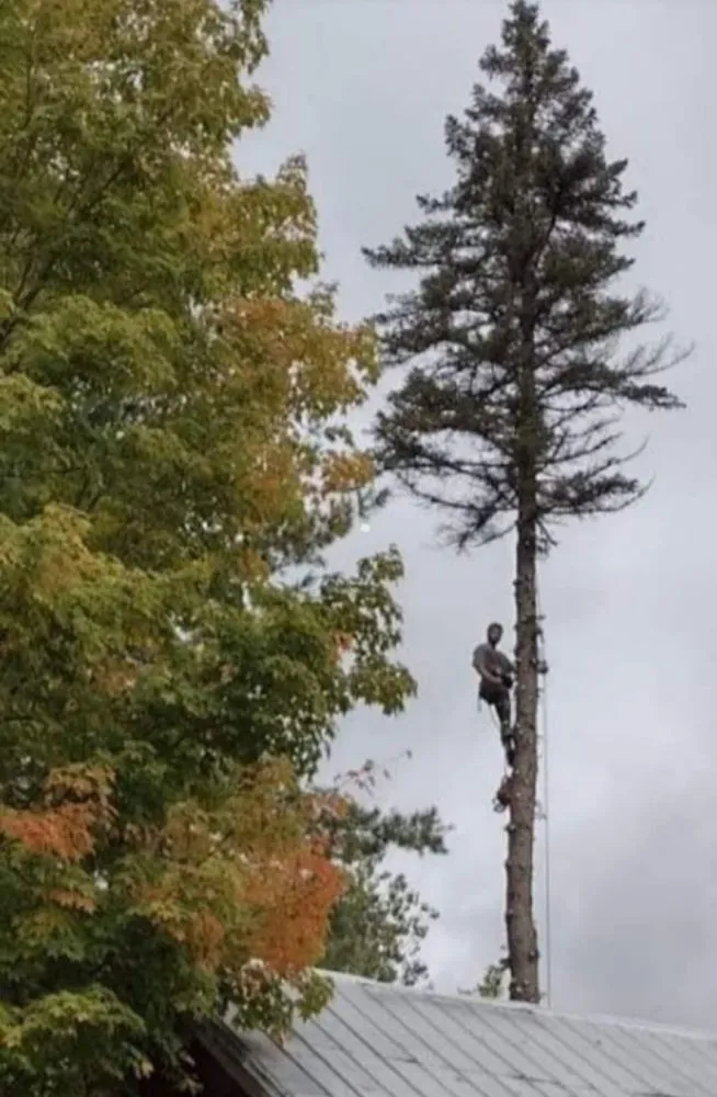 Top-rated yard cleanup service for homes across Plattsburgh, NY - Jamie VanEtten