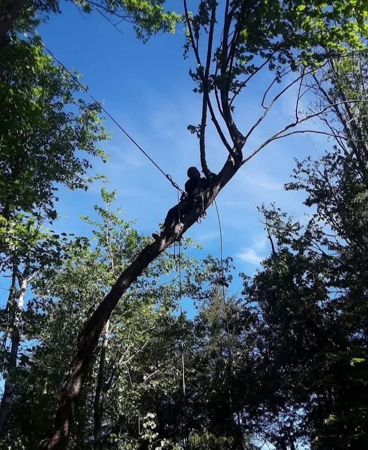 Professional garden landscaping with custom design across Plattsburgh, NY - Jamie VanEtten