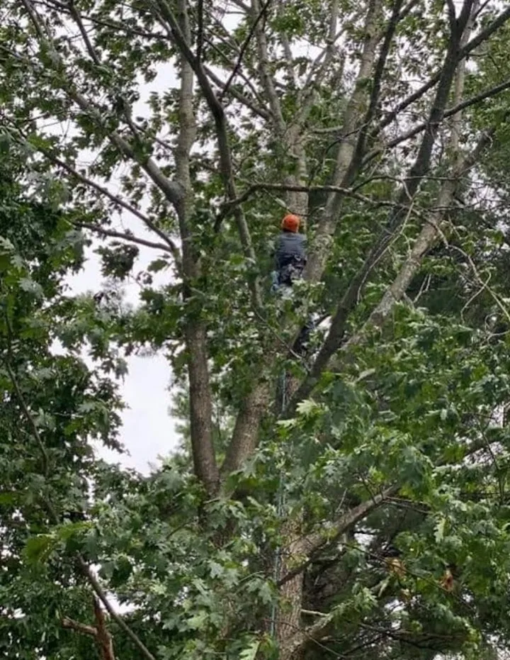 Reliable lawn care service for year-round maintenance across Plattsburgh, NY - Jamie VanEtten