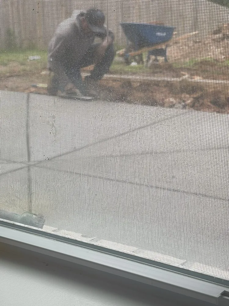 Expert yard maintenance for homes across Toney, AL - Jamie's Concrete