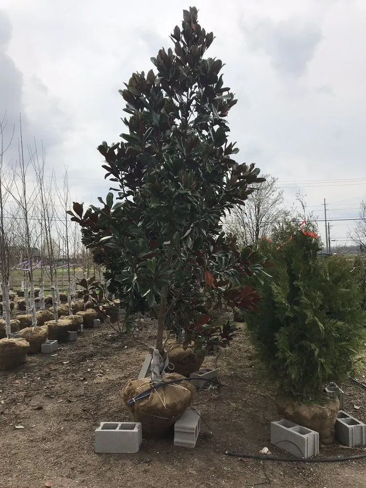 Professional landscape installation for beautiful yards across West Chester, OH - Jamie's Landscaping and Greenhouses