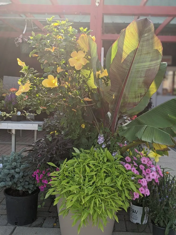 Affordable yard maintenance in West Chester, OH by Jamie's Landscaping and Greenhouses