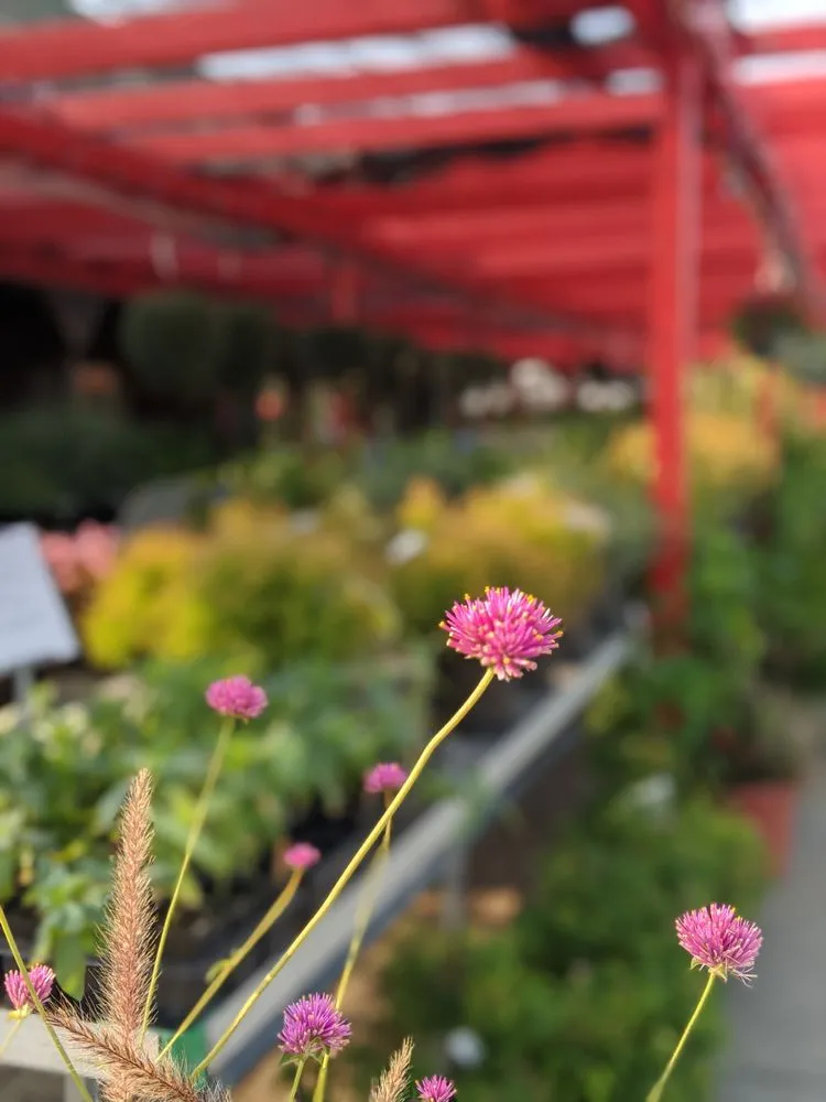 Affordable landscape design experts serving West Chester, OH - Jamie's Landscaping and Greenhouses