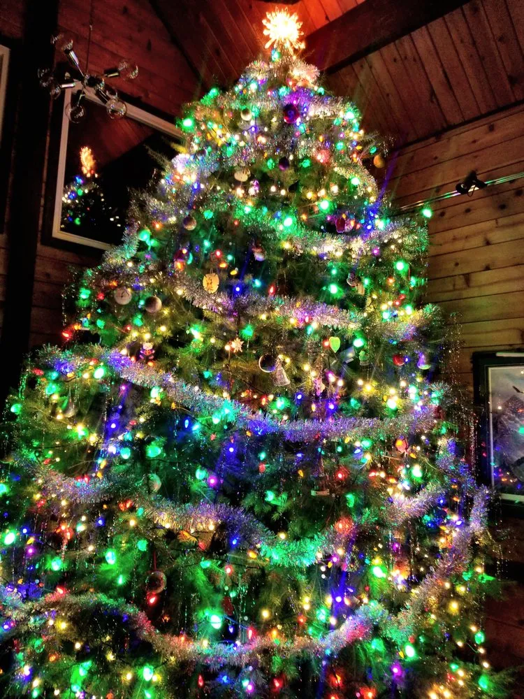 Custom yard cleanup service for beautiful yards in West Chester, OH by Jamie's Landscaping and Greenhouses