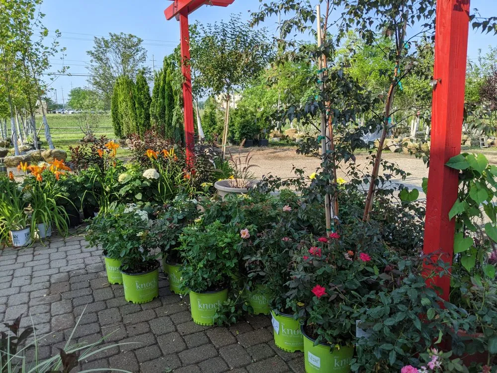 Reliable landscape installation for outdoor upgrades in West Chester, OH by Jamie's Landscaping and Greenhouses