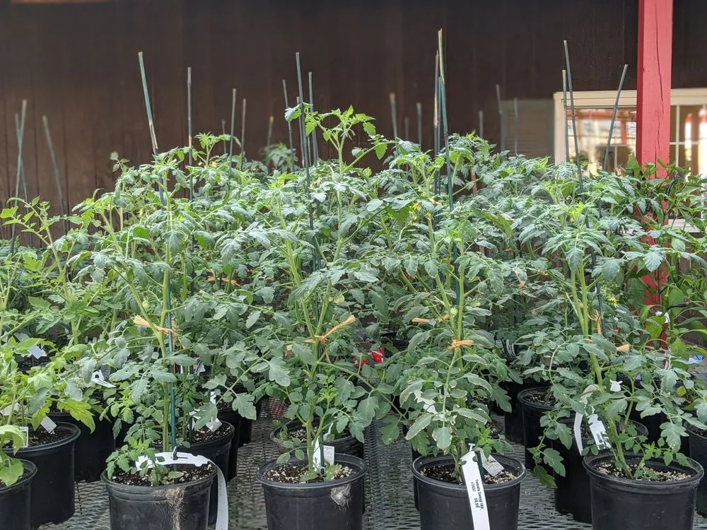 Top-rated landscaping services in West Chester, OH by Jamie's Landscaping and Greenhouses