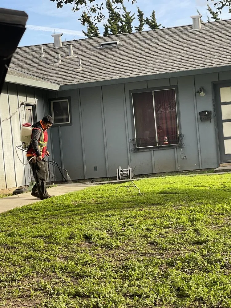 Local yard maintenance experts serving Fremont, CA - Jamie's Landscaping