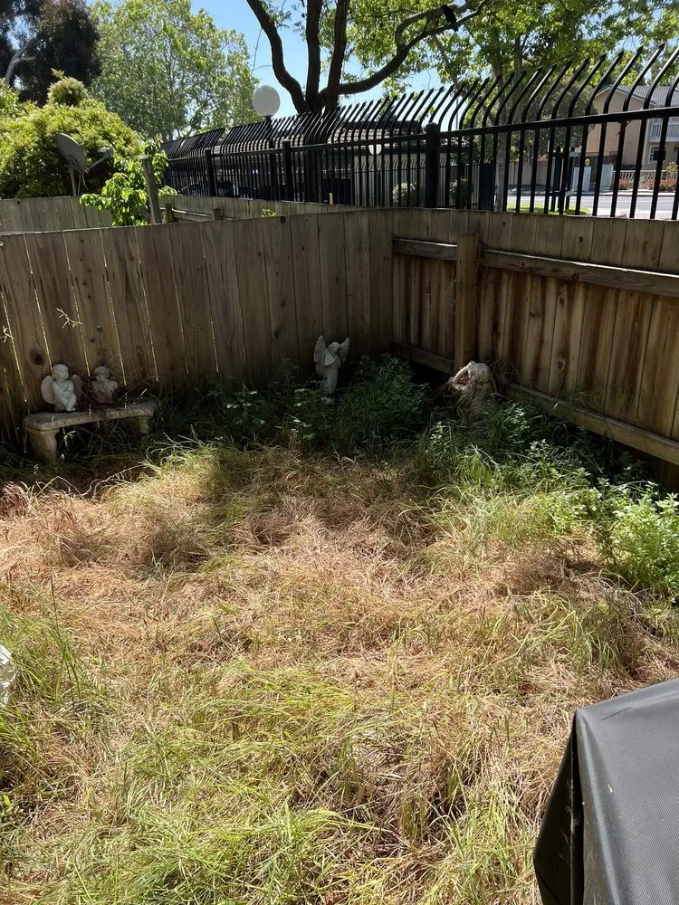 Top-rated garden landscaping for year-round maintenance in Fremont, CA by Jamie's Landscaping