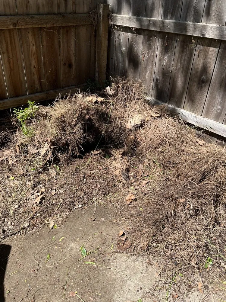 Affordable outdoor landscaping in Fremont, CA - Jamie's Landscaping