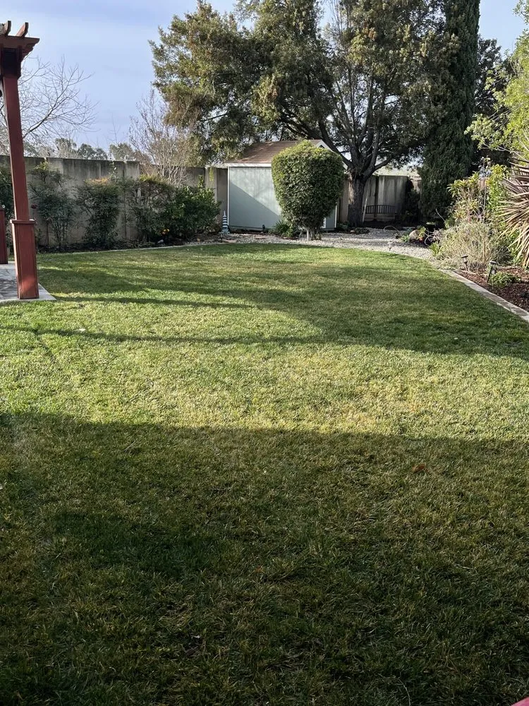 Reliable landscape design for beautiful yards in Fremont, CA by Jamie's Landscaping