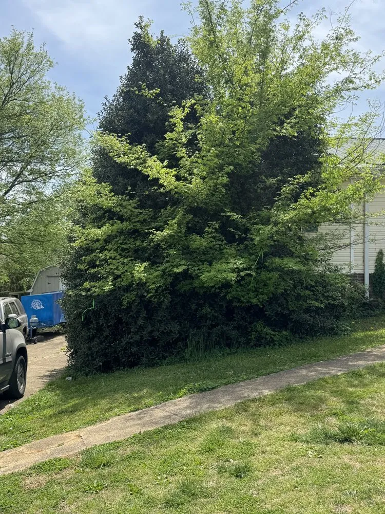 Trusted lawn care service experts serving Cleveland, TN - Jamie’s Lawn Service