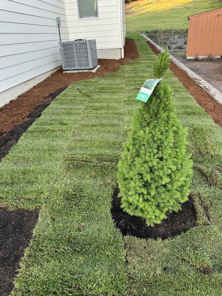 Local landscape installation near you across Cathlamet, WA - Jamie's Yard Services