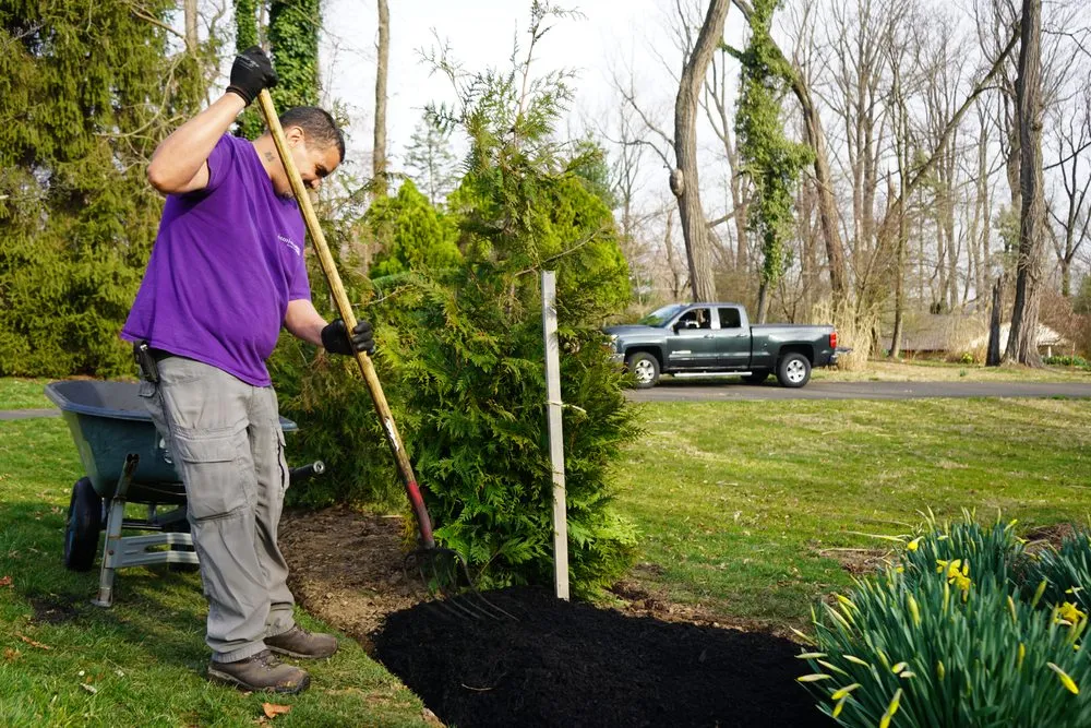 Reliable yard cleanup service experts serving Warminster, PA - Jamison Lawn Care