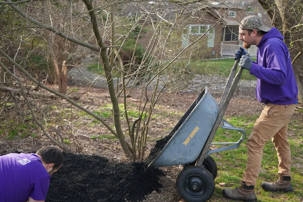 Professional landscape design in Warminster, PA by Jamison Lawn Care