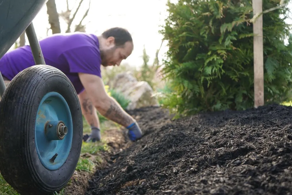 Local yard cleanup service in Warminster, PA - Jamison Lawn Care