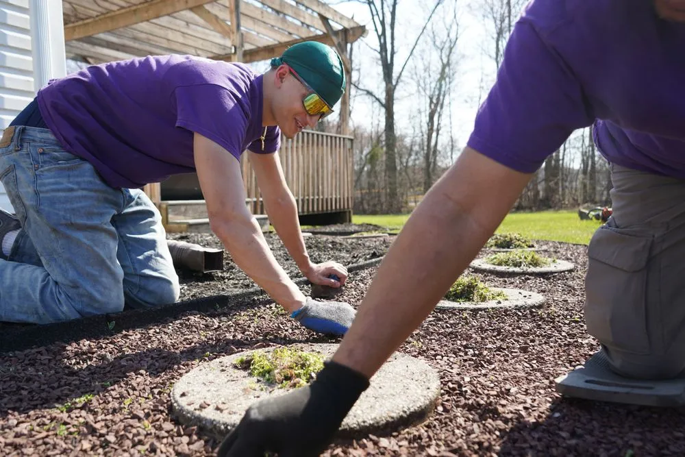 Trusted lawn care service near you in Warminster, PA by Jamison Lawn Care