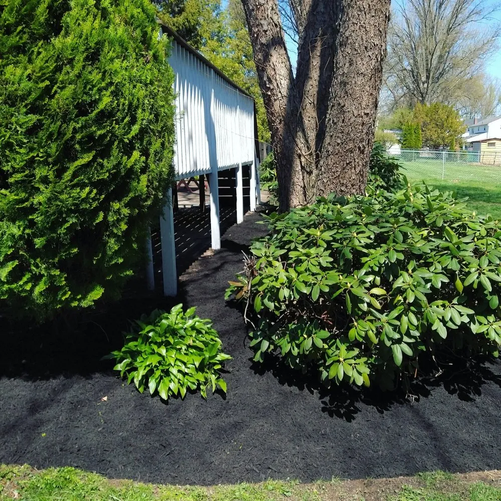 Top-rated landscape design for beautiful yards across Warminster, PA - Jamison Lawn Care