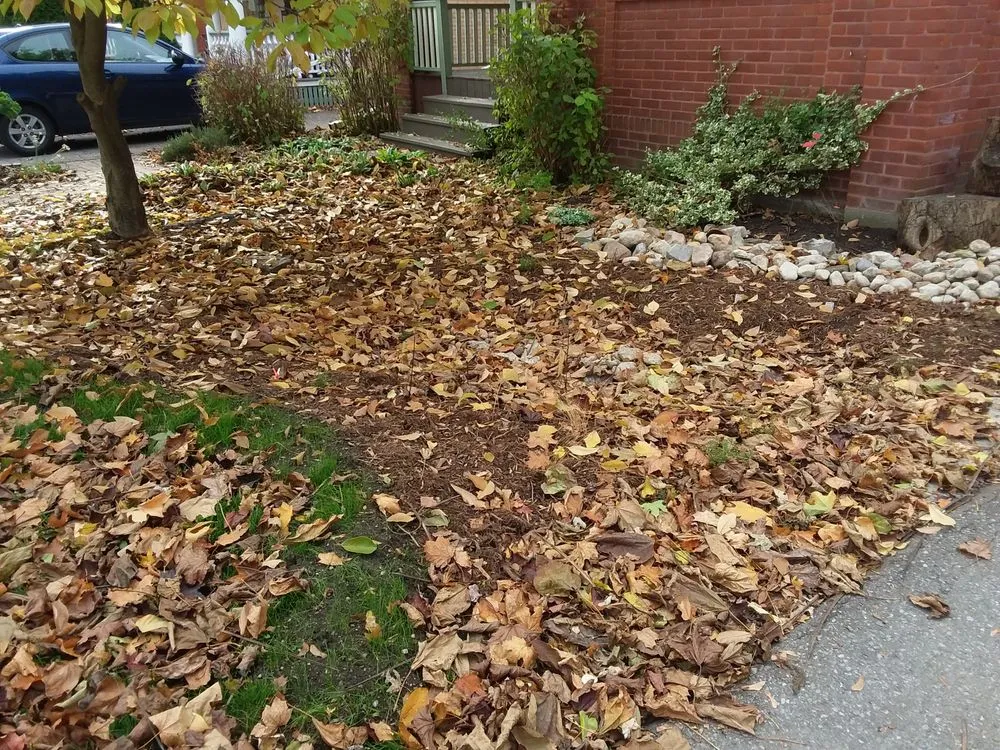 Custom lawn care service for residential properties across Knoxville, TN - Jamison's Full Service Lawn